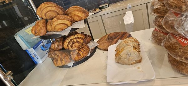 Nectarine Grove by null