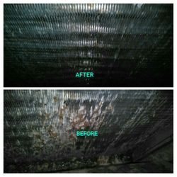 Most Thoroughly Cleaned - You'd be horrified at what you may be breathing....