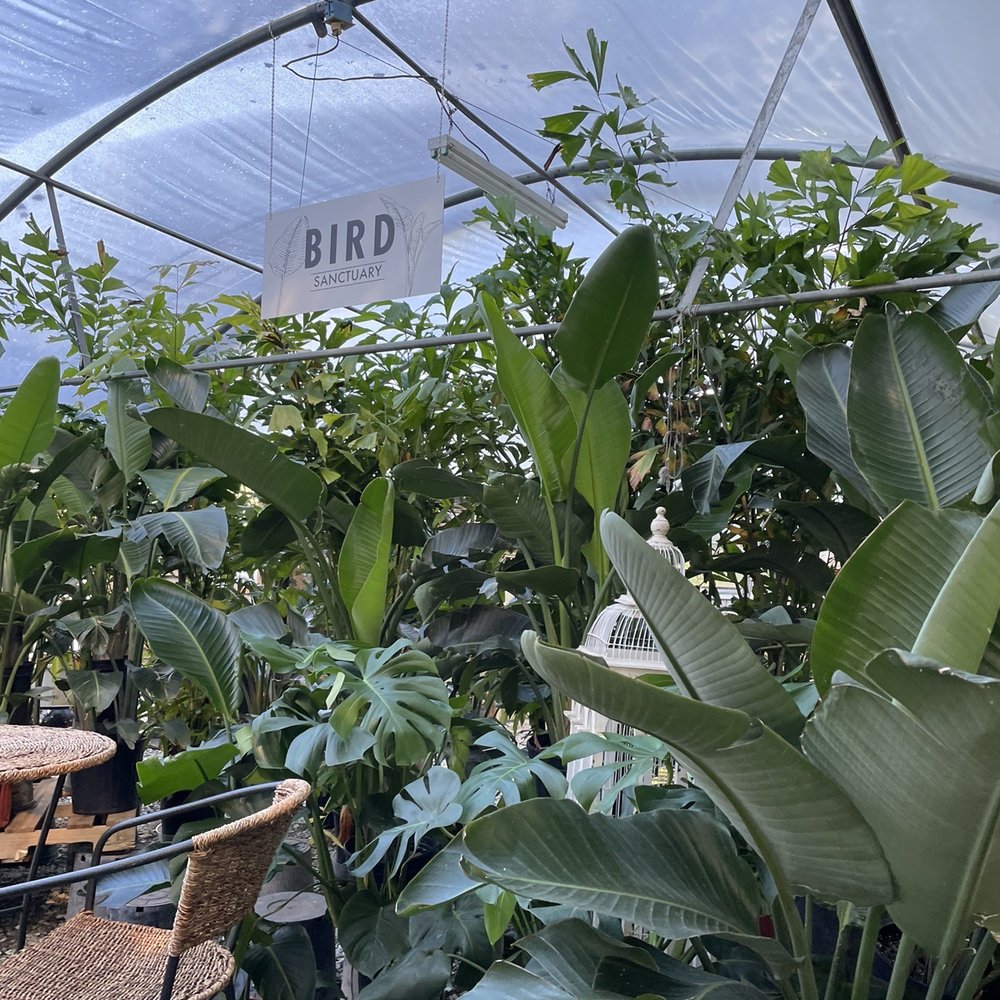 Plants Alive! - Nurseries & Gardening Near Me - Silver Spring, Maryland Plants Alive! - Nurseries & Gardening Near Me - Silver Spring, Maryland