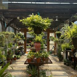 Laurel Hill Gardens