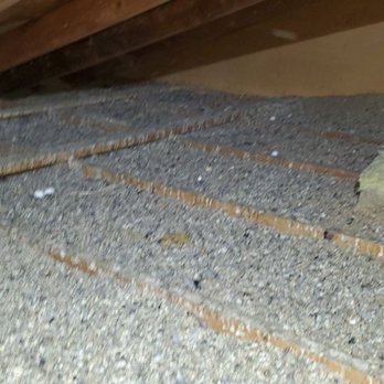 Bro Rodent Proofing - Before.... So much pigeon waste - Pest Control Near Me Bro Rodent Proofing - Before.... So much pigeon waste - Pest Control Near Me