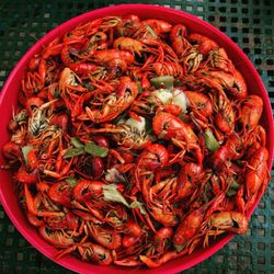 Nola Crawfish King  - Tray of hot boiled crawfish