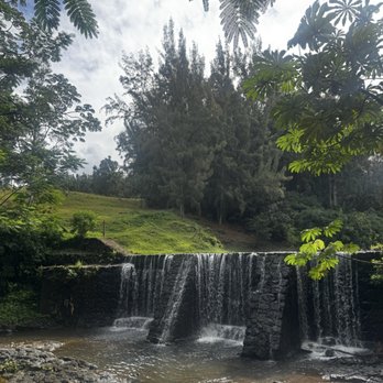 Wai Koa Loop Trail - Hiking Near Me - Kilauea, Hawaii