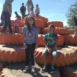 Mesilla Valley Maze Family Fun Farm - Huge tire structure