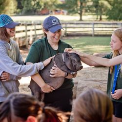 Hawks Hollow Farm
