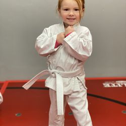 Ultimate Martial Arts Academy - We teach as early as 4 years old!