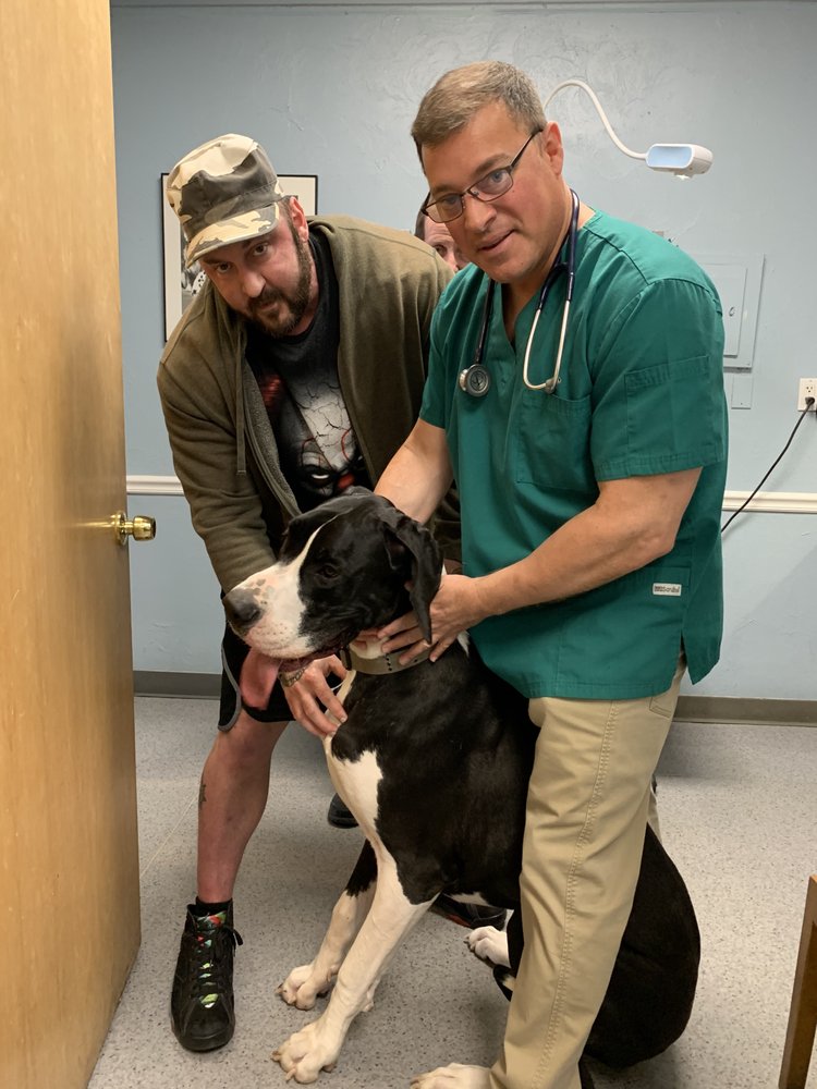 MIDDLETOWN ANIMAL CLINIC 27 Photos & 44 Reviews 2968 Middletown Rd