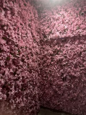 Jade Yorkville by null