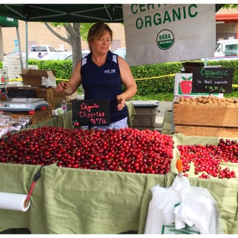 San Leandro Cherry Festival - Festivals Near Me - San Leandro, California