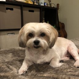 He loves his new haircut He loves his new haircut