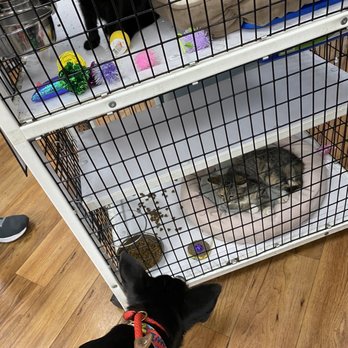 nearest pet supermarket