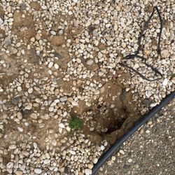 TFS - Kentuckiana - Huge hole left in landscape