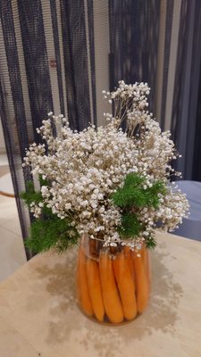 Plain Vanilla ION Orchard by null