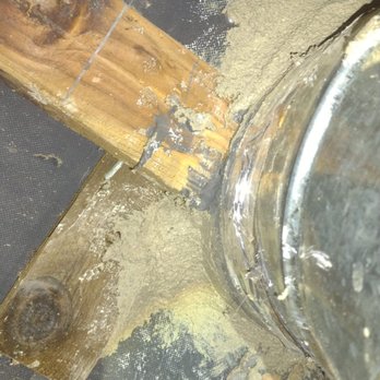 Rodent Control - Pest Control Near Me - San Jose, California Rodent Control - Pest Control Near Me - San Jose, California