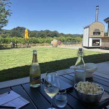 Amista Vineyards - Wine Tours Near Me - Healdsburg, California Amista Vineyards - Wine Tours Near Me - Healdsburg, California