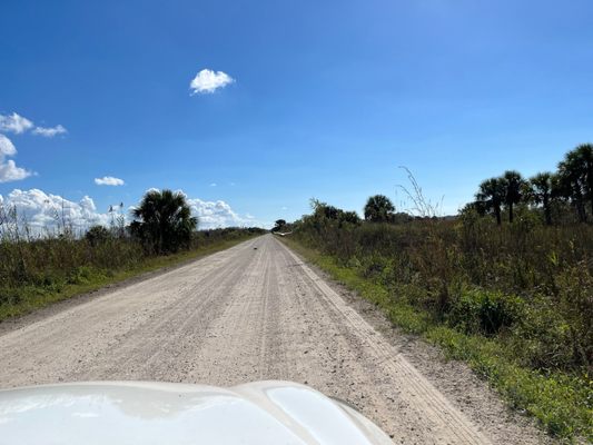 Fakahatchee Strand Preserve State Park by null