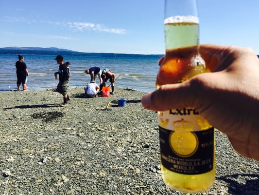 Dosewallips State Park by null