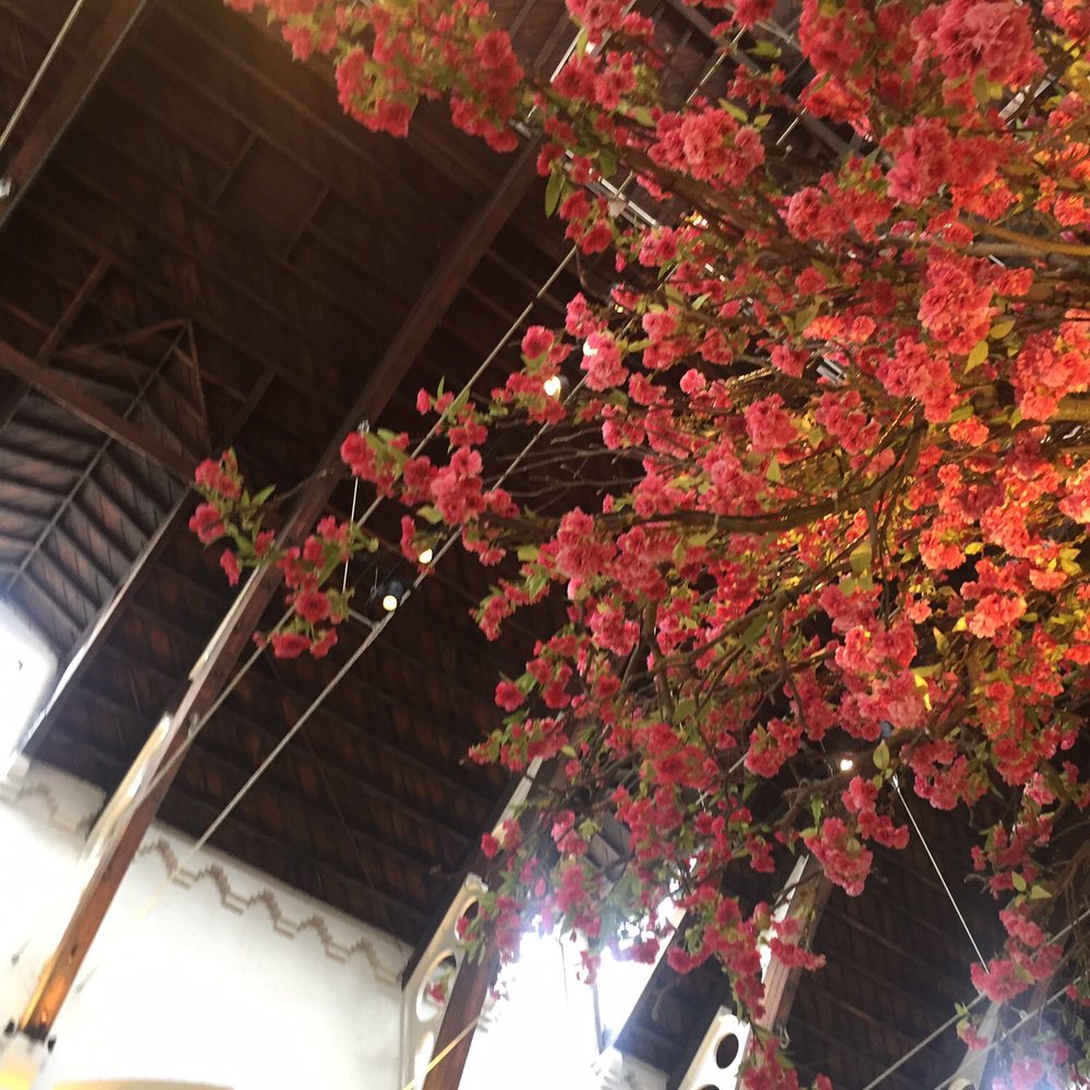 German Gymnasium - Cherry tree in the middle of the room - German Near Me - London, XGL