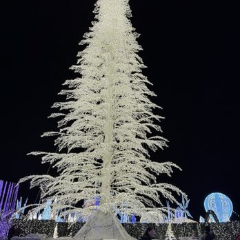 Enchant - Festivals Near Me - Arcadia, California