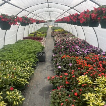 B's Greenhouses - Nurseries & Gardening Near Me - Camden, South Carolina B's Greenhouses - Nurseries & Gardening Near Me - Camden, South Carolina