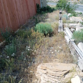 Germinator USA - Before-Large lots - Yard maintenance, weed removal no problem! (505)906-3171 - Home Cleaning Near Me - Gallup, New Mexico