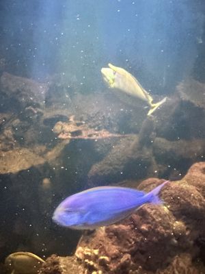 CUPERTINO LIBRARY - Updated February 2026 - 200 Photos & 233 Reviews ...