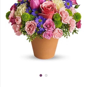 Rocklin Florist - What we ordered - Florists Near Me - Rocklin, California Rocklin Florist - What we ordered - Florists Near Me - Rocklin, California