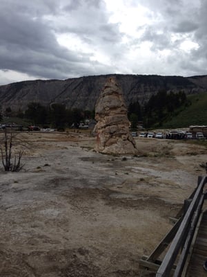 Mammoth Hot Springs by null