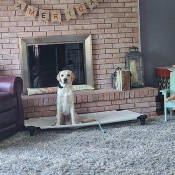 Ridgeside K9 - Pet Training Near Me - Bluemont, Virginia