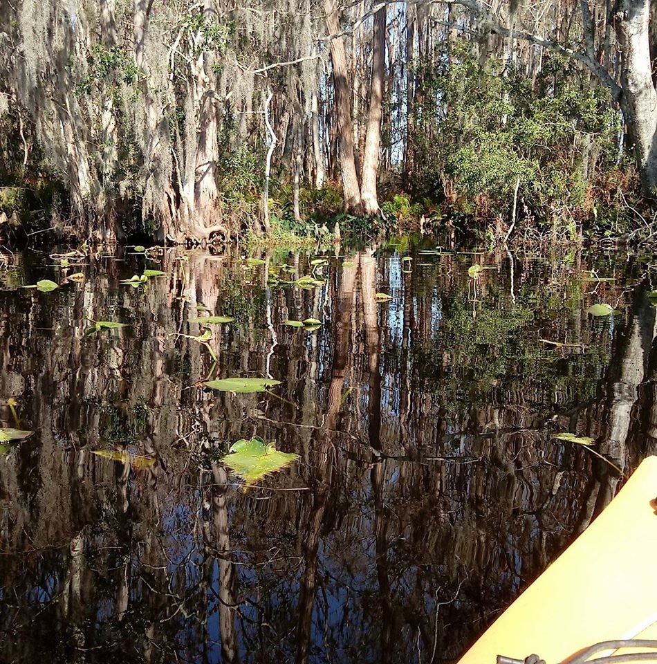 Suwannee River Canoe Rental Image