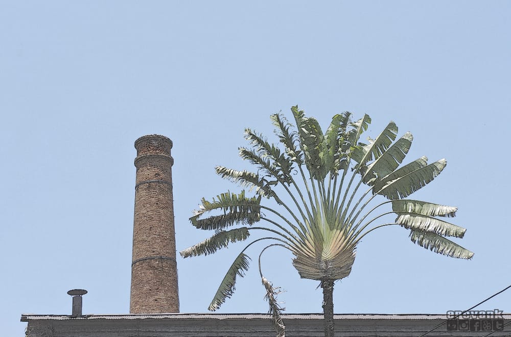 EX HACIENDA DE TEMIXCO Carretera Federal MéxicoAcapulco Km. 85