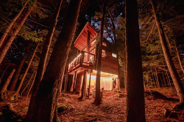 Stone City Treehouse by null