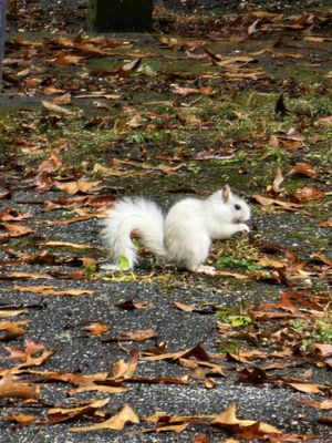 Oskar Blues Brewery Taproom by null