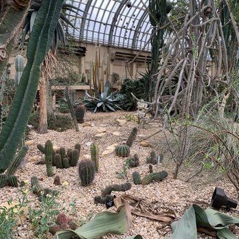 Garfield Park Conservatory - Cactus room - Parks Near Me - Chicago, Illinois