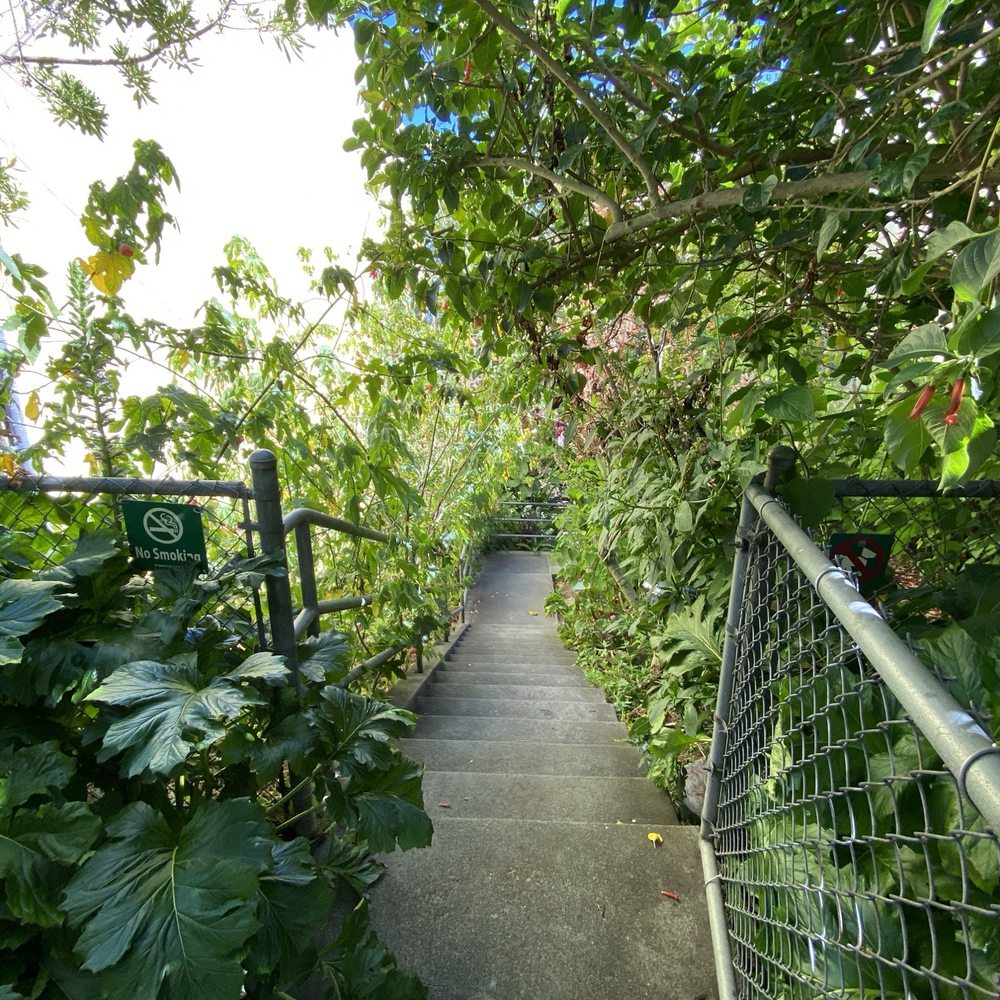Sunnyside Conservatory - Parks Near Me - San Francisco, California