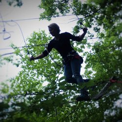 Cimes Aventures