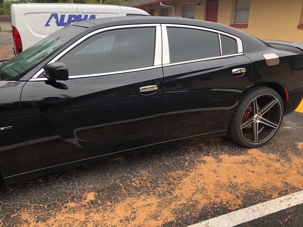 ALPHA GRAPHIX AND WINDOW TINTING Updated August 2024 1497 Main St