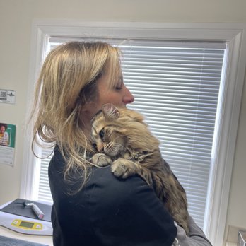 Powell Veterinary Center - Veterinarians Near Me - Portland, Oregon Powell Veterinary Center - Veterinarians Near Me - Portland, Oregon
