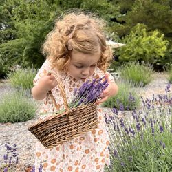Frog Creek Farm Ojai