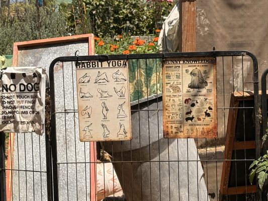 Fiorelli Pizza by null