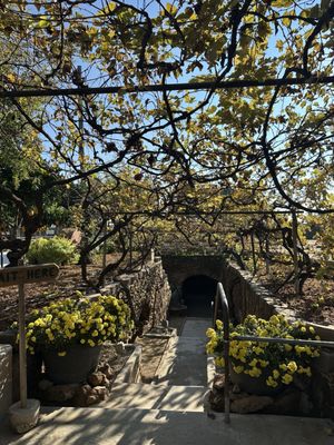 Forestiere Underground Gardens by null