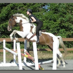 Westside Stables - Adult Riding Lessons
