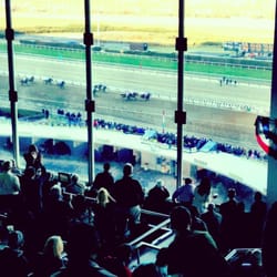 Aqueduct Racetrack - Wood Memorial