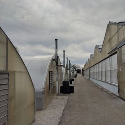 The greenhouses The greenhouses