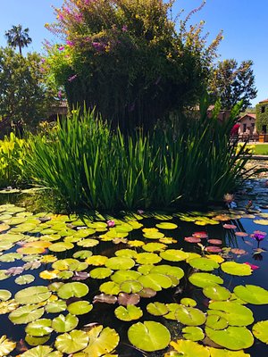 Mission San Juan Capistrano by null