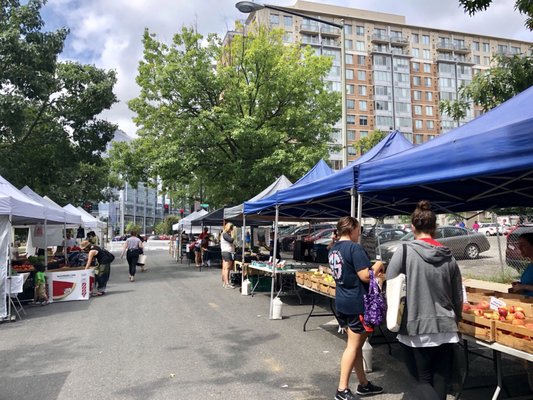 McCutcheon/Mount Vernon Farmers Market by null