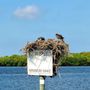 Photo of Latitudes Tours