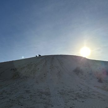 Monahans Sandhills State Park - Hiking Near Me - Monahans, Texas Monahans Sandhills State Park - Hiking Near Me - Monahans, Texas