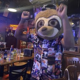 The sloth head