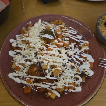 Happy Cactus Mexican Cocina - Mexican Near Me - Dunedin, Florida Happy Cactus Mexican Cocina - Mexican Near Me - Dunedin, Florida